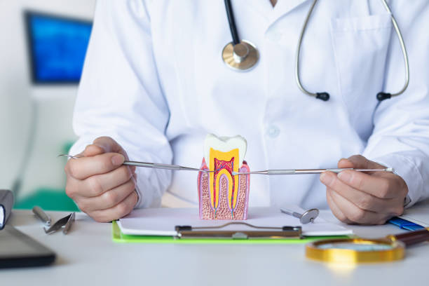 Best Emergency Root Canal Treatment in Lisbon, IA